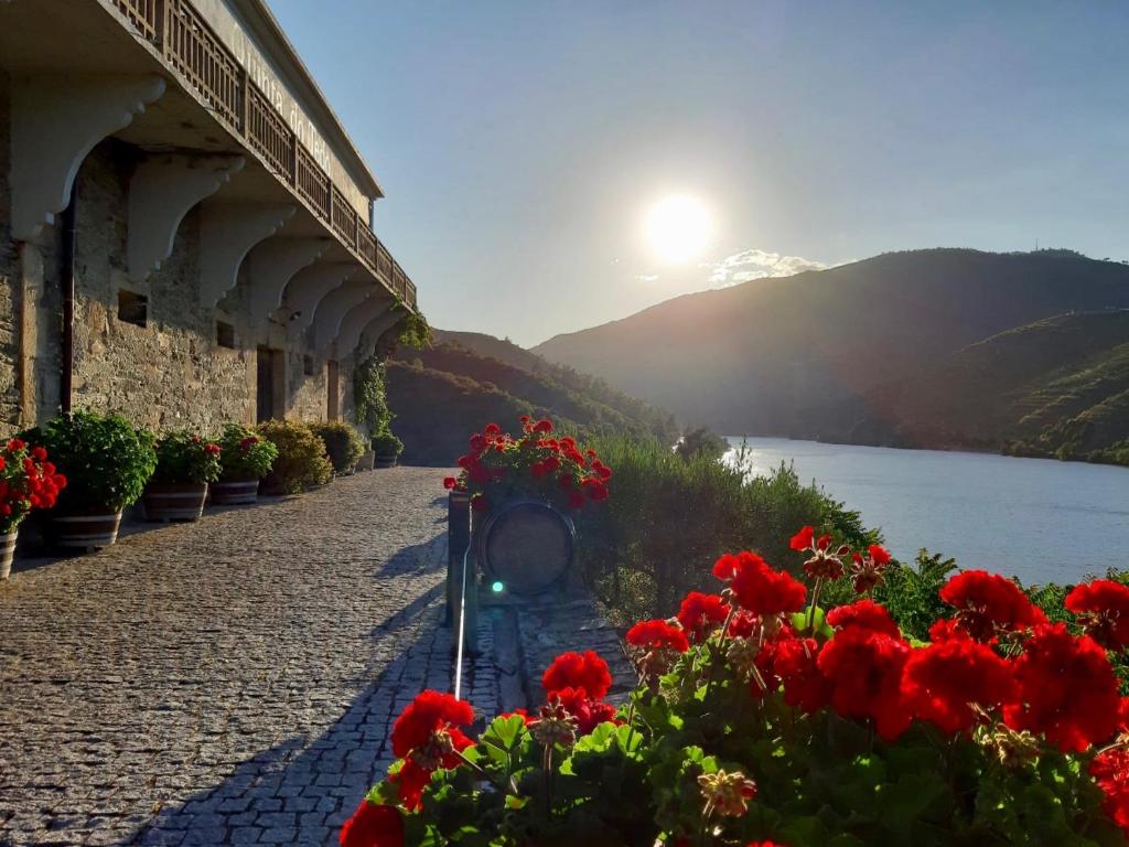 a street with red flowers next to a building at Quinta do Tedo in Folgosa