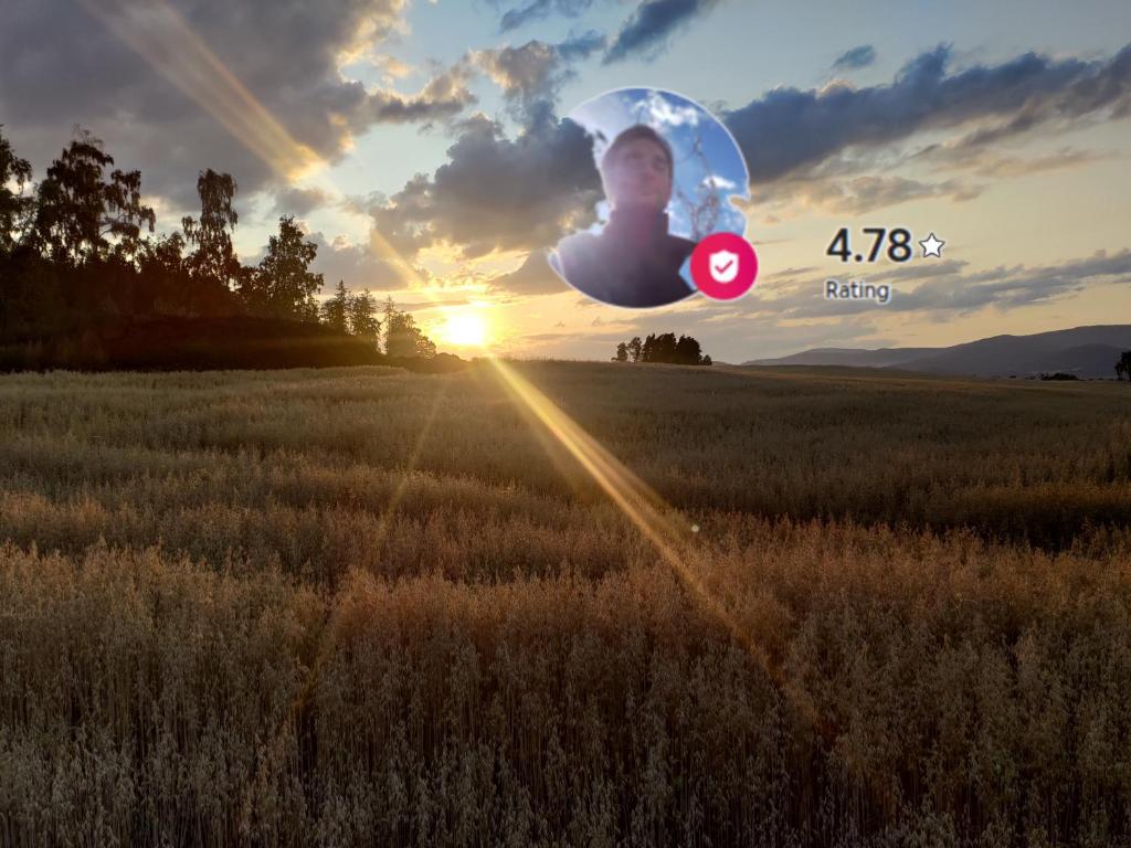 a picture of a person in a field with the sunset at Nature Heaven in Carlsbad in Karlovy Vary