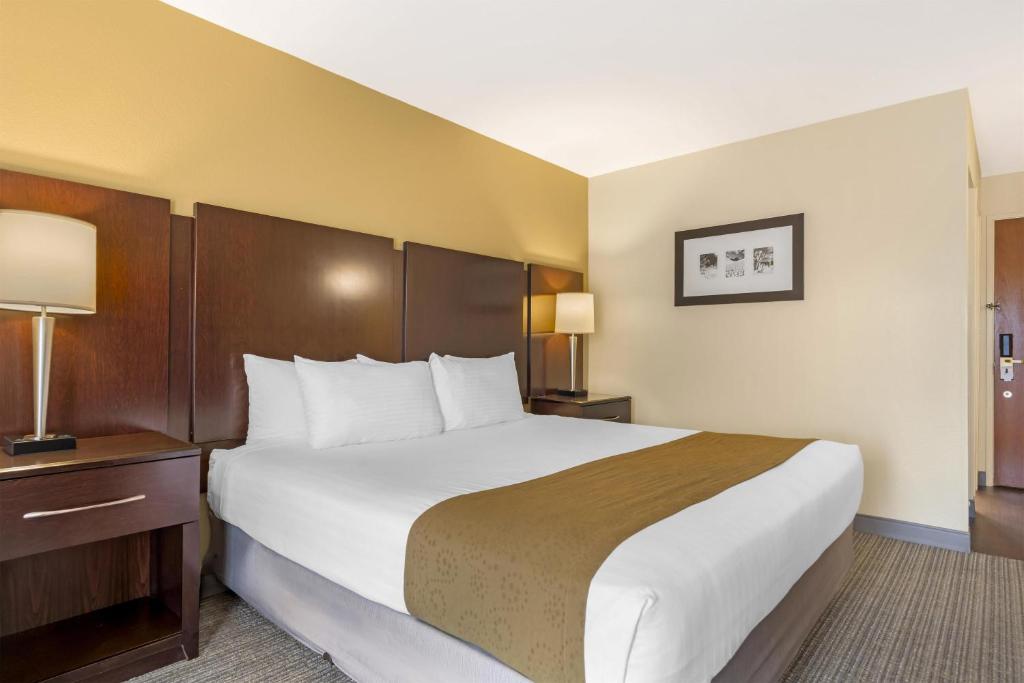 Best Western Plus Plaza by the Green - Queen Room With Roll-In Shower - Mobility Access