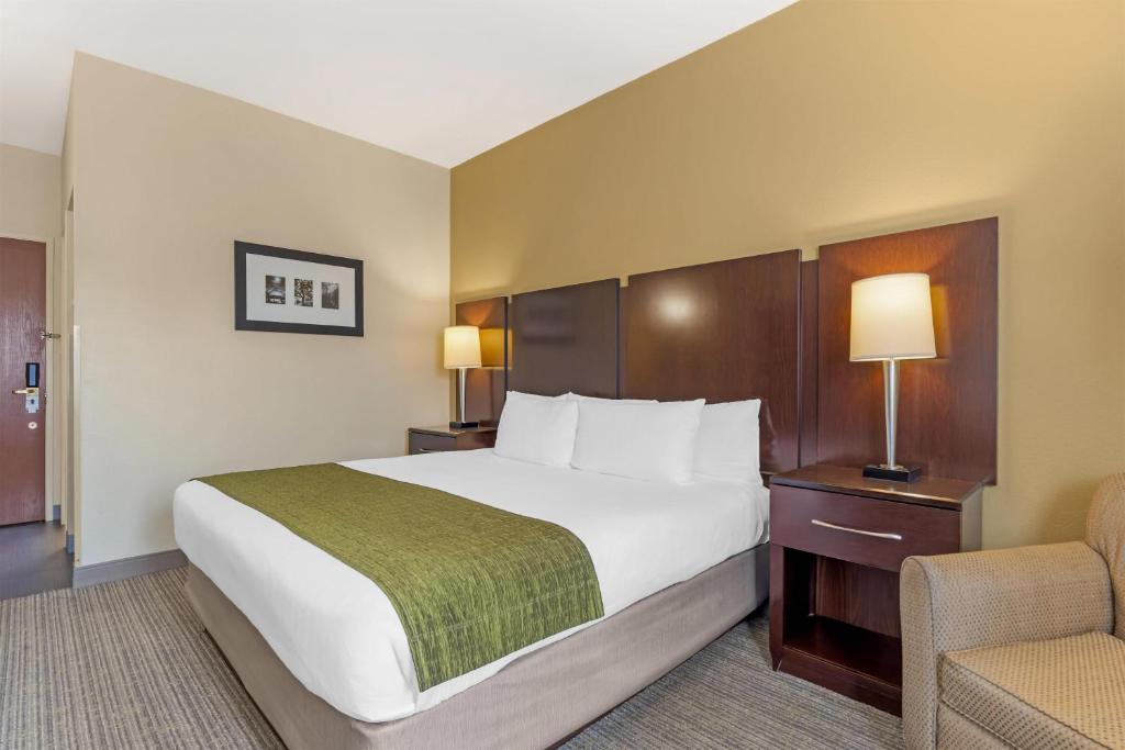 Best Western Plus Plaza by the Green - Habitación Con Cama Extragrande - No Fumadores