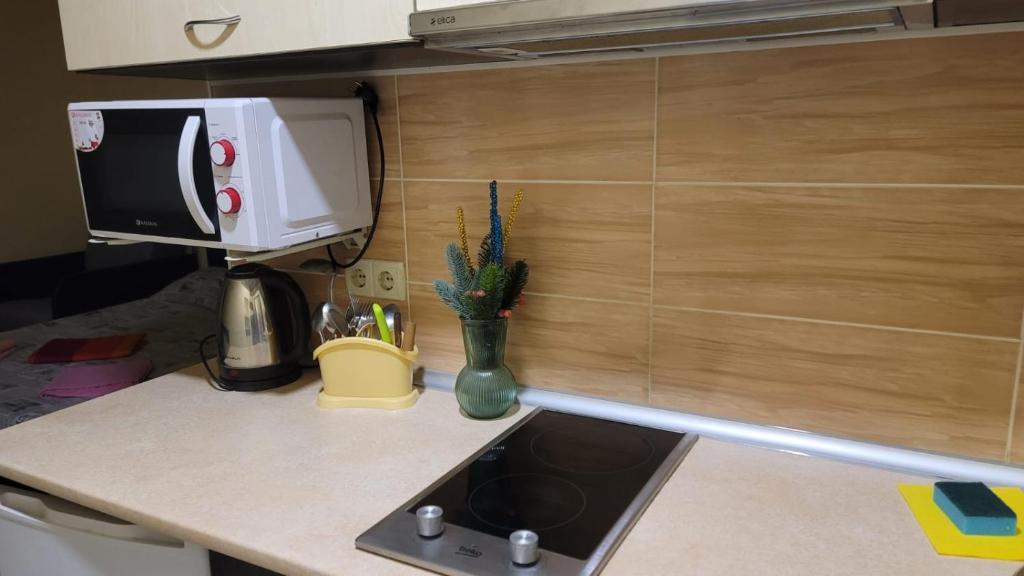 a kitchen counter with a sink and a microwave at Apartment in the city centr Bursatsky descent in Kharkiv