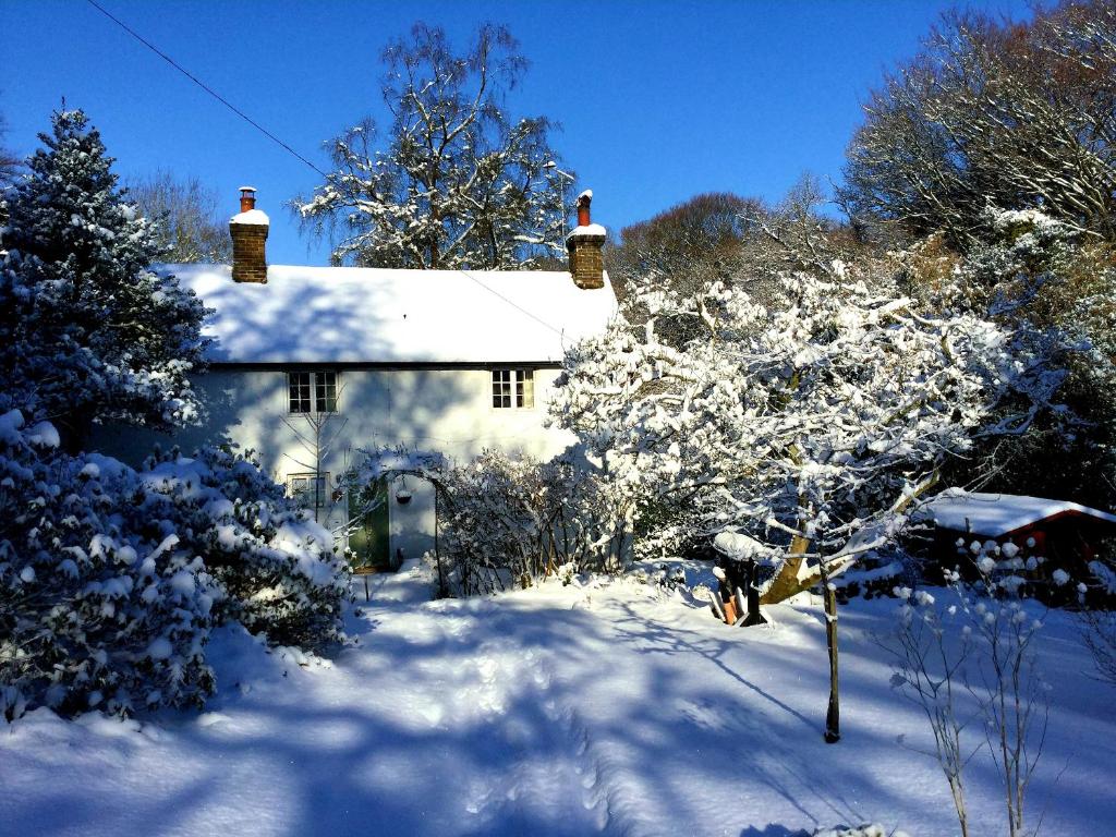 ein schneebedecktes Haus mit einem Baum in der Unterkunft Cherry Cottage in Withyham