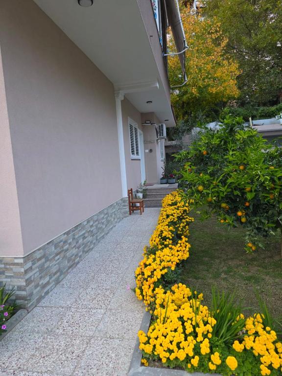 un giardino di fiori gialli di fronte a un edificio di Green Oasis a Tirana