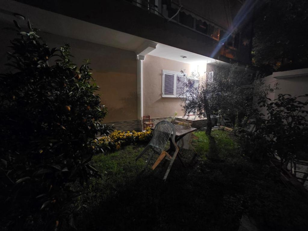 Zahrada ubytování Green Oasis