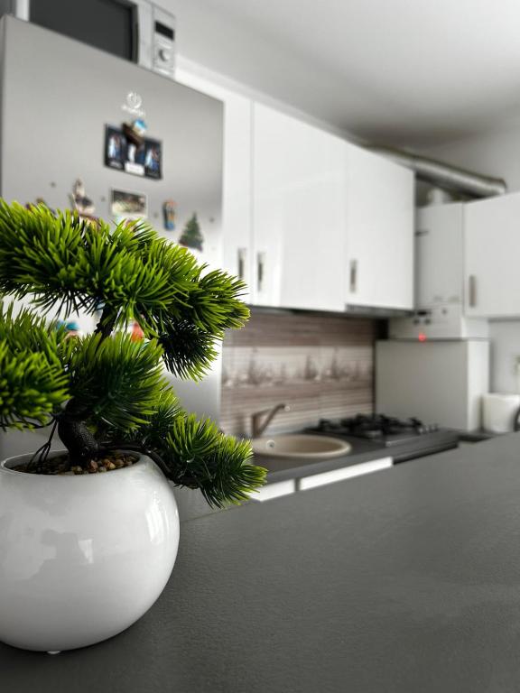 Kuchyň nebo kuchyňský kout v ubytování Apartament Cosmina's Dream