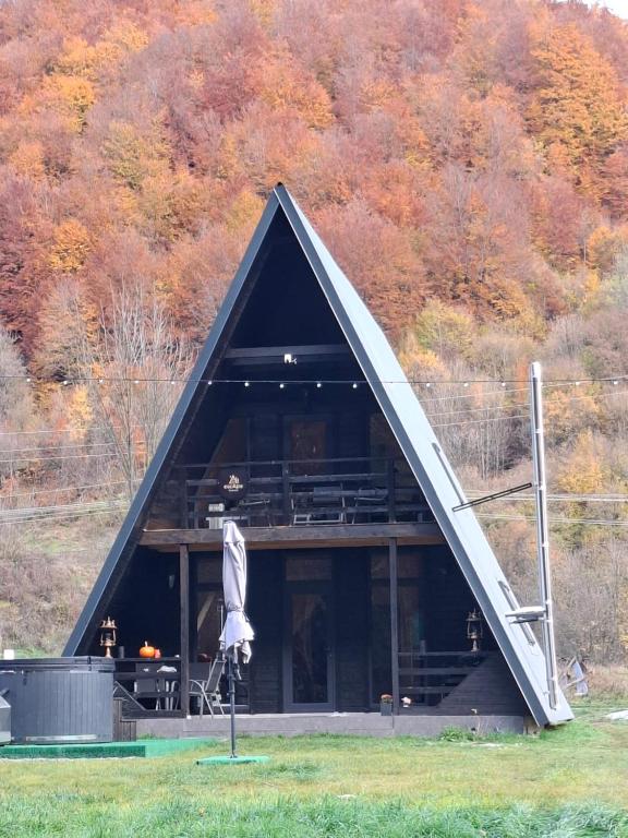 a large building with a triangular roof in a field at Escape Remeti - Aframe by the River in Remeţi
