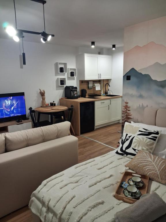 Η κουζίνα ή μικρή κουζίνα στο Studio Pieniny Szczawnica