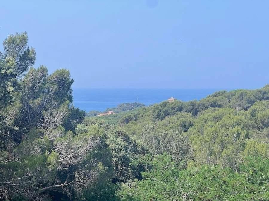 a view of trees and the ocean in the distance at Appartamento vista mare in Castiglioncello
