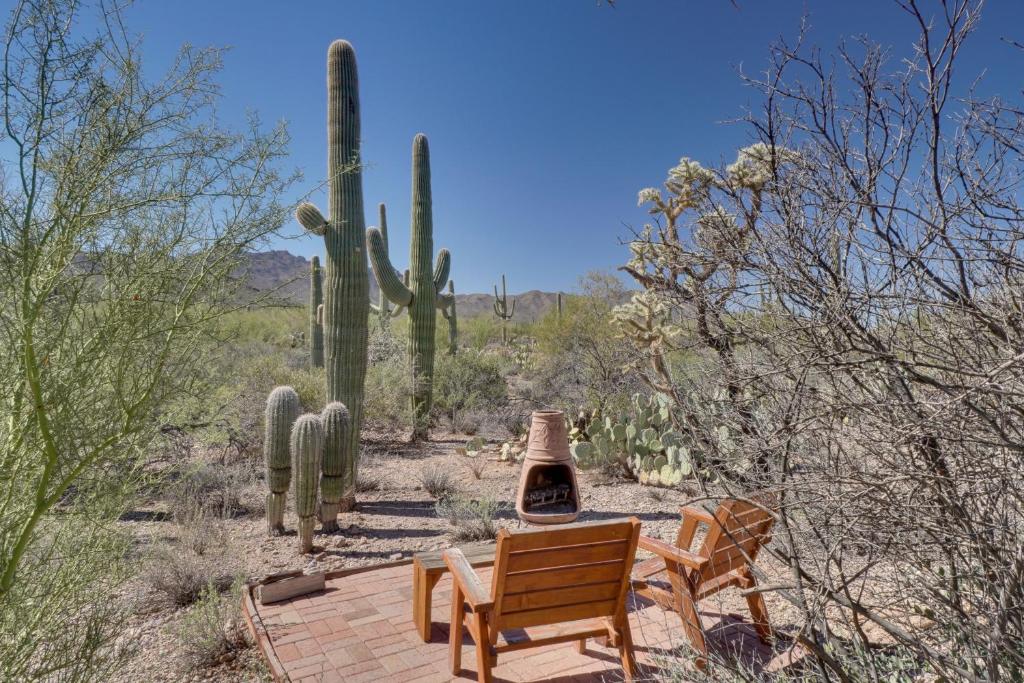 a patio with chairs and a cactus in the desert at Unwind Poolside, Scenic Sonoran Desert Retreat! in Tucson