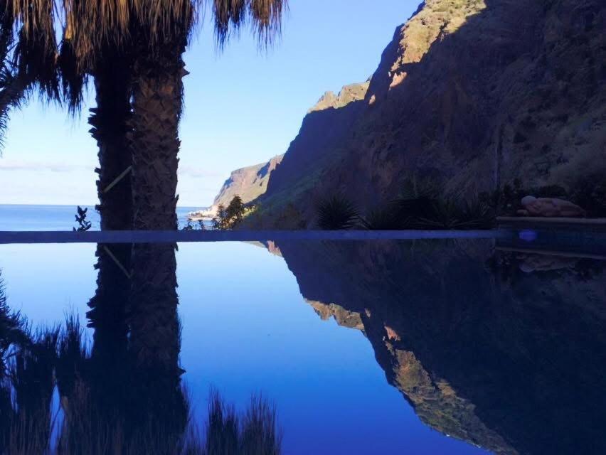 a reflection of a palm tree in a body of water at Suite Bela Vigia 2 in Jardim do Mar