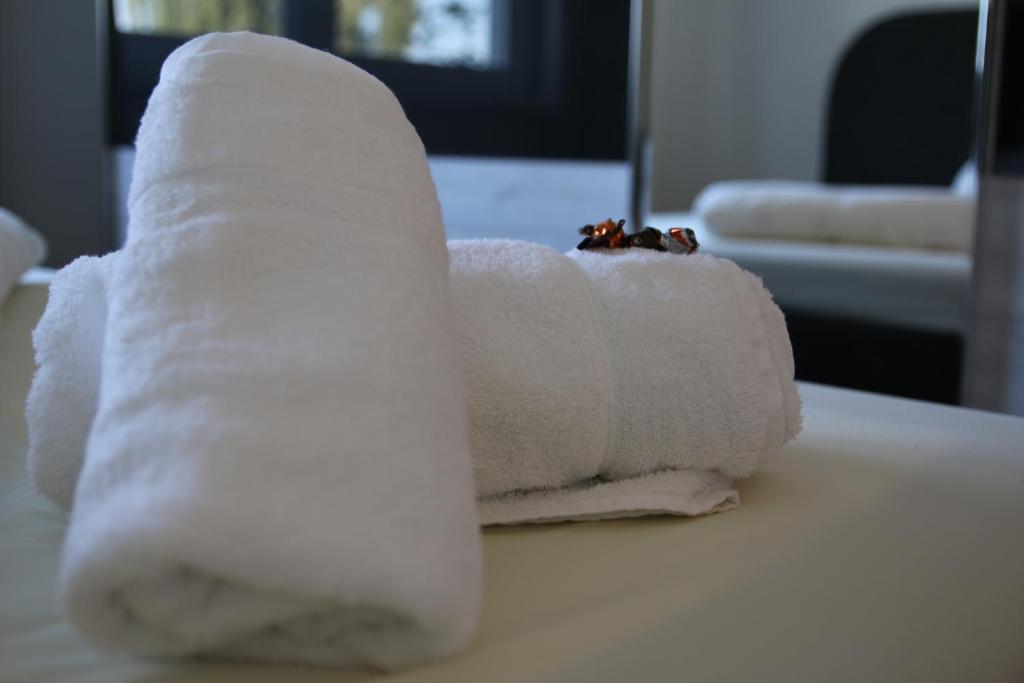 紐因堡的住宿－諾伊堡公寓式酒店，一张桌子上坐着的卫生纸