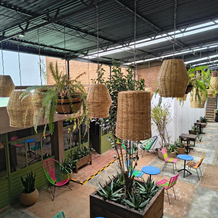 a patio with chairs and potted plants and hanging baskets at Xelva Hostel & Travel community in San Cristóbal de Las Casas