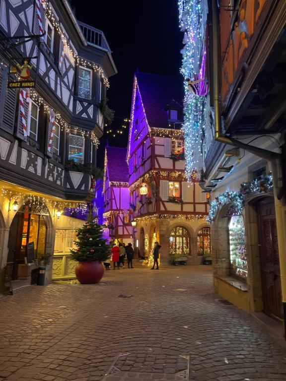 een stadsstraat 's nachts met kerstverlichting bij Colmar centre-Charmant appartement Marché de Noël-Ascenseur, Wifi & Parking privé en sous-sol in Colmar