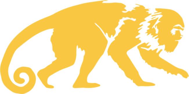 a yellow cat walking with a baby in its mouth at Nosara Samara, 2 BR, Jungle View, Fiber-Optic wifi in Nicoya