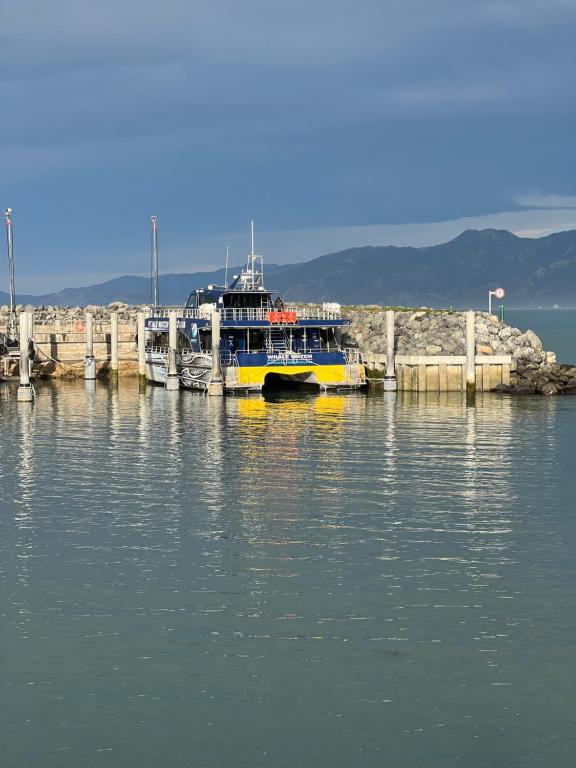凯库拉Kaikoura Blue haven in the bay的停靠在水面码头的渡船