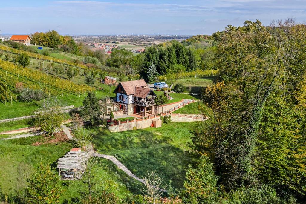 an aerial view of a house on a hill at Nature Lodge With Sauna and Hot Tub - Happy Rentals in Tužno