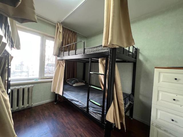 zwei Etagenbetten in einem Zimmer mit Fenster in der Unterkunft Zebra Guest House in Ulaanbaatar