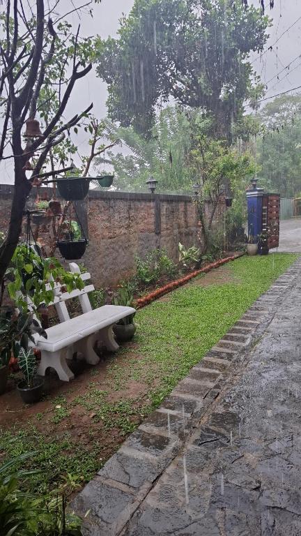 Blue Pillars Kandy - 4