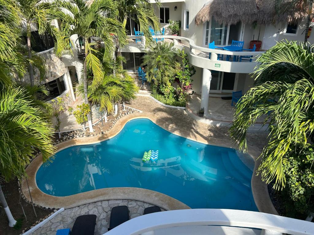 an overhead view of a swimming pool with palm trees at Blue angel 24 in Playa del Carmen