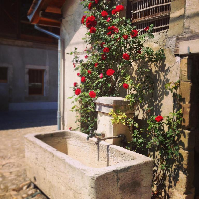 Fotografie z fotogalerie ubytování La Ferme du Lignon v Ženevě