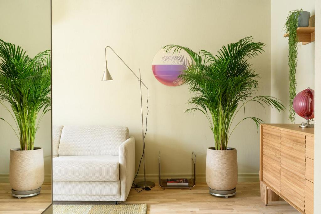 Χώρος καθιστικού στο Pievos