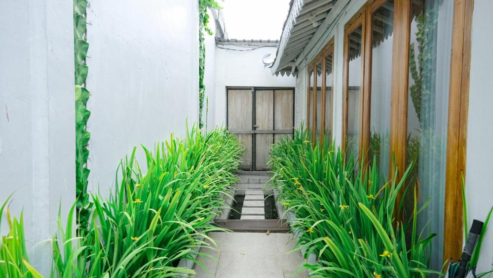 a hallway with plants in front of a building at Sampai Villa Nayan in Yogyakarta