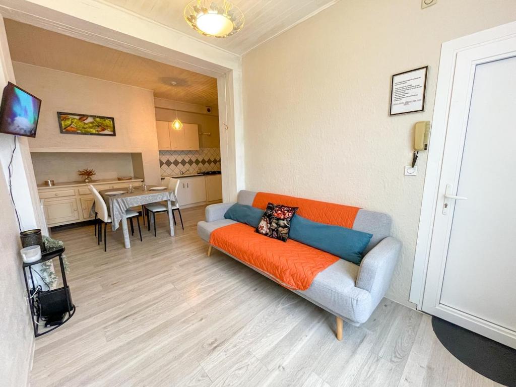 Μια τηλεόραση ή/και κέντρο ψυχαγωγίας στο Le petit Carnot WIFI centre-ville