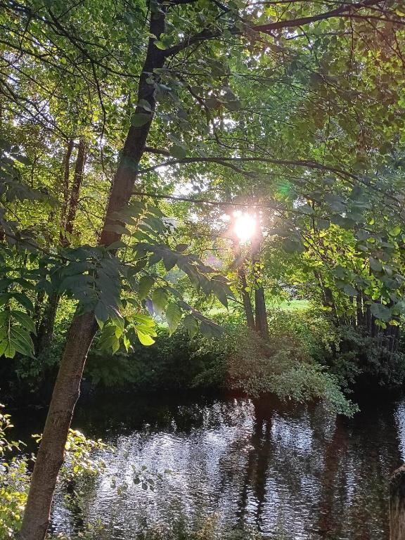 a sun shining through the trees over a body of water at Amtawa - Bien-être et Ressourcement in Kirchberg