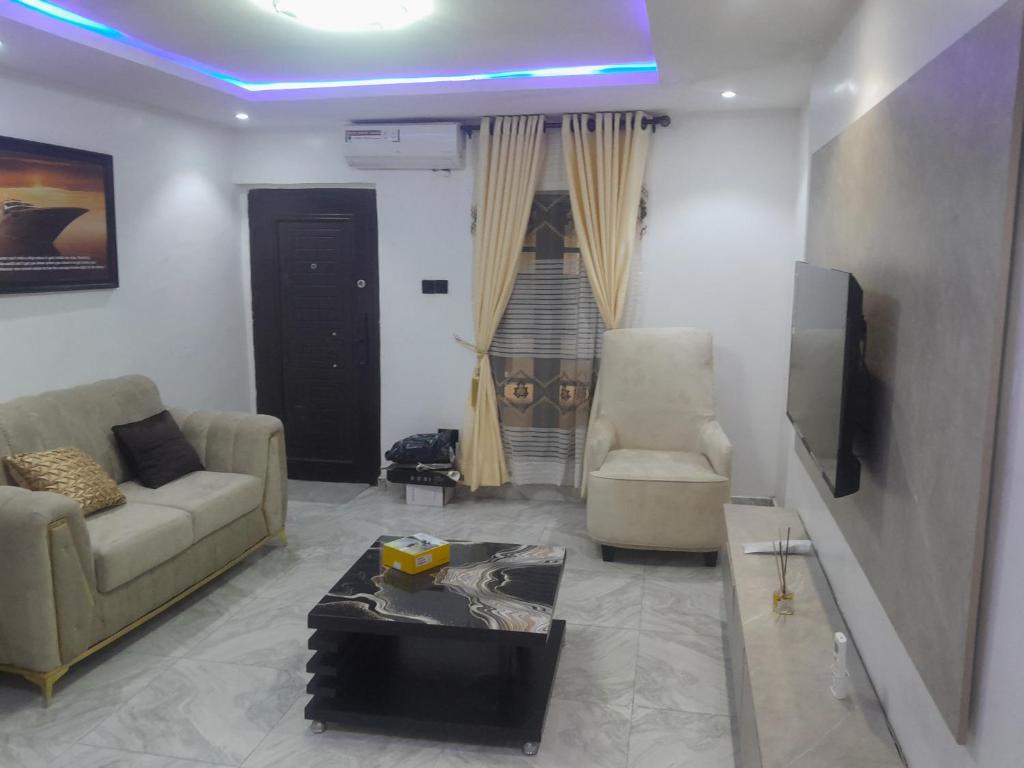 ラゴスにあるAb comfort apartmentのソファと椅子とテレビのあるリビングルーム