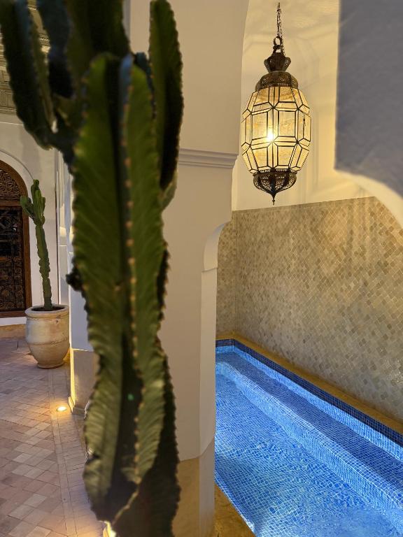 une plante en pot et un lustre près d'une piscine dans l'établissement Riad Tzarra, à Marrakech