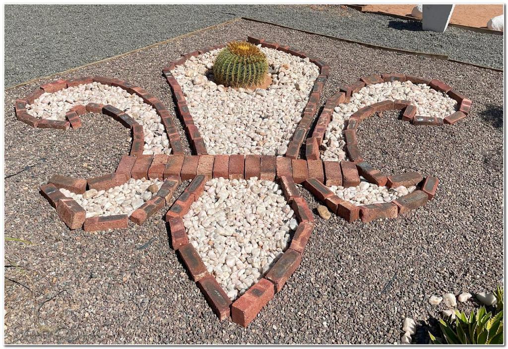Un cactus en medio de un jardín de rocas en Grünau Chalets, en Khomas Region