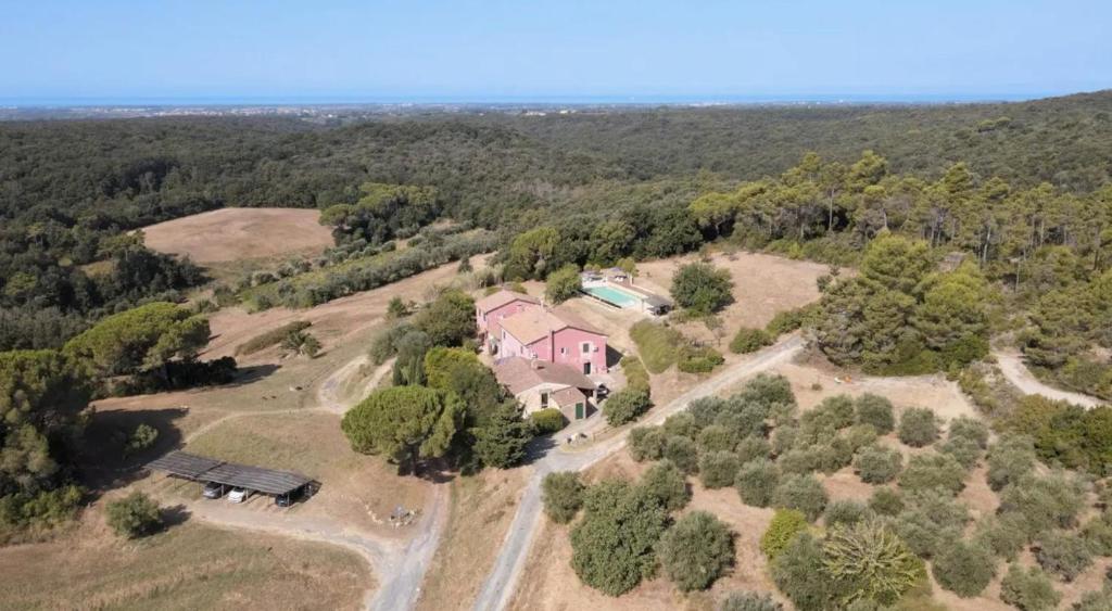 CollemezzanoにあるPiccolo Paradiso - Riparbellaの森の中の家の空中写真