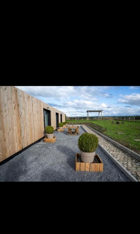 a group of buildings with potted plants in a courtyard at Le Marzelheide 1 in Lontzen