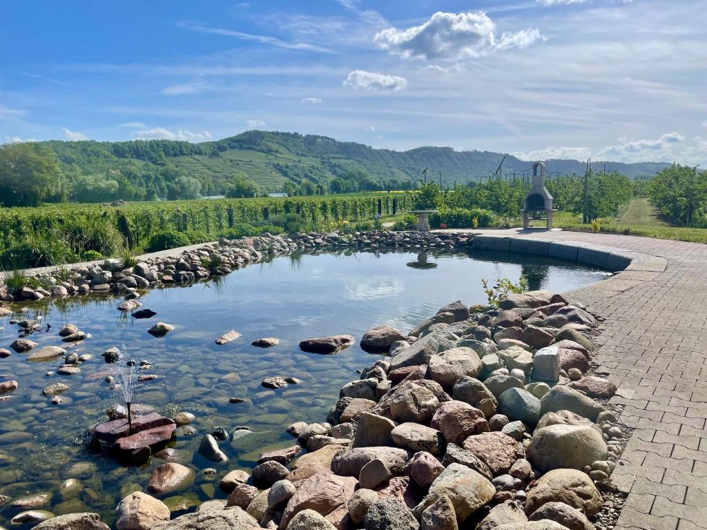 a pool of water with rocks in the middle at Gästewohnung auf Gold's Obsthof in Karlburg