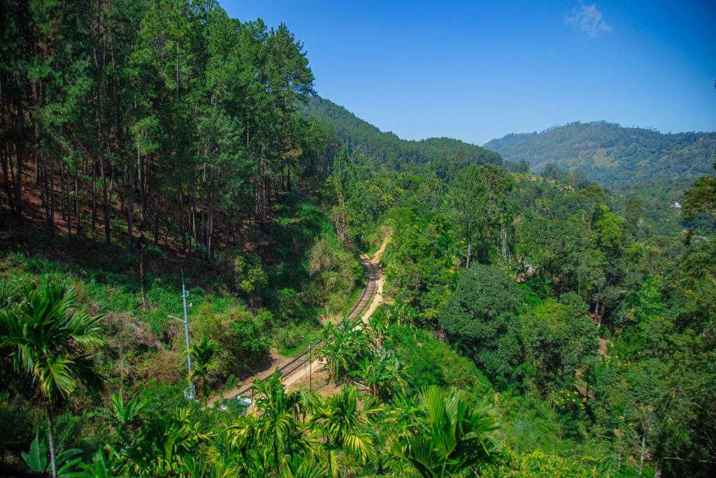 a dirt road in the middle of a forest at Tunnel Top Inn Ella in Ella