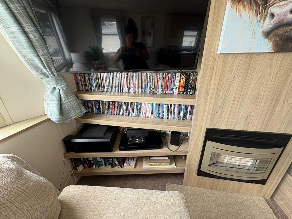 巴德利索尔特顿Homely static caravan with full central heating的房间里有一个摆满DVD的书架和一个成年人。