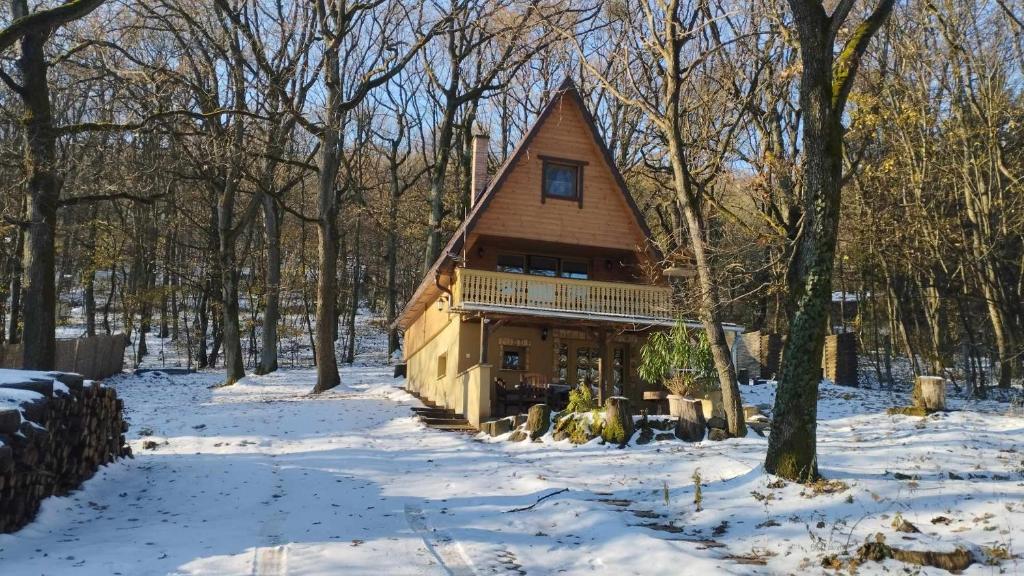 Őzike-Lak a Börzsönyben v zimě