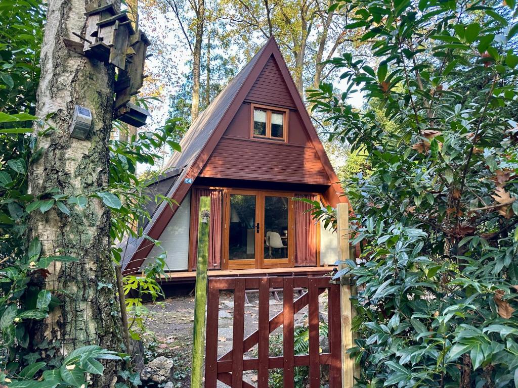 a tiny house in the woods next to a tree at Boshuisje Rekem - Sylva in Lanaken