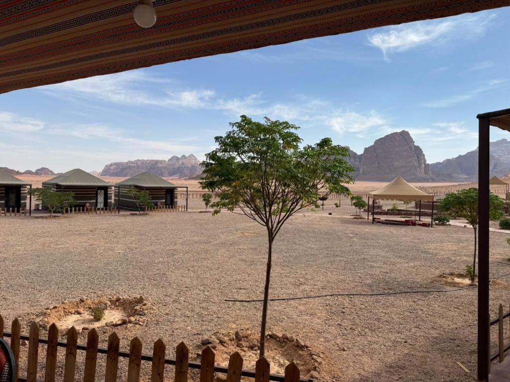 Cảnh núi rừng hoặc tầm nhìn ra núi từ lều trại sang trọng