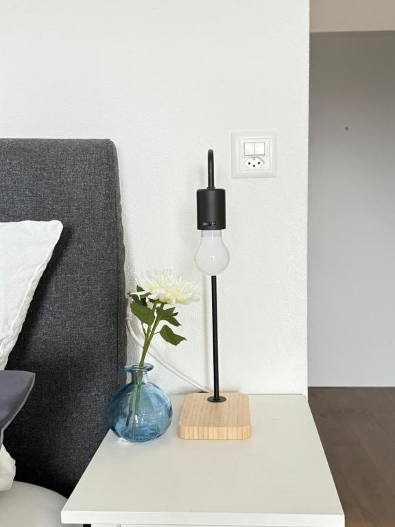 Φωτογραφία από το άλμπουμ του HRE Apartments Lago Rorschach σε Rorschach