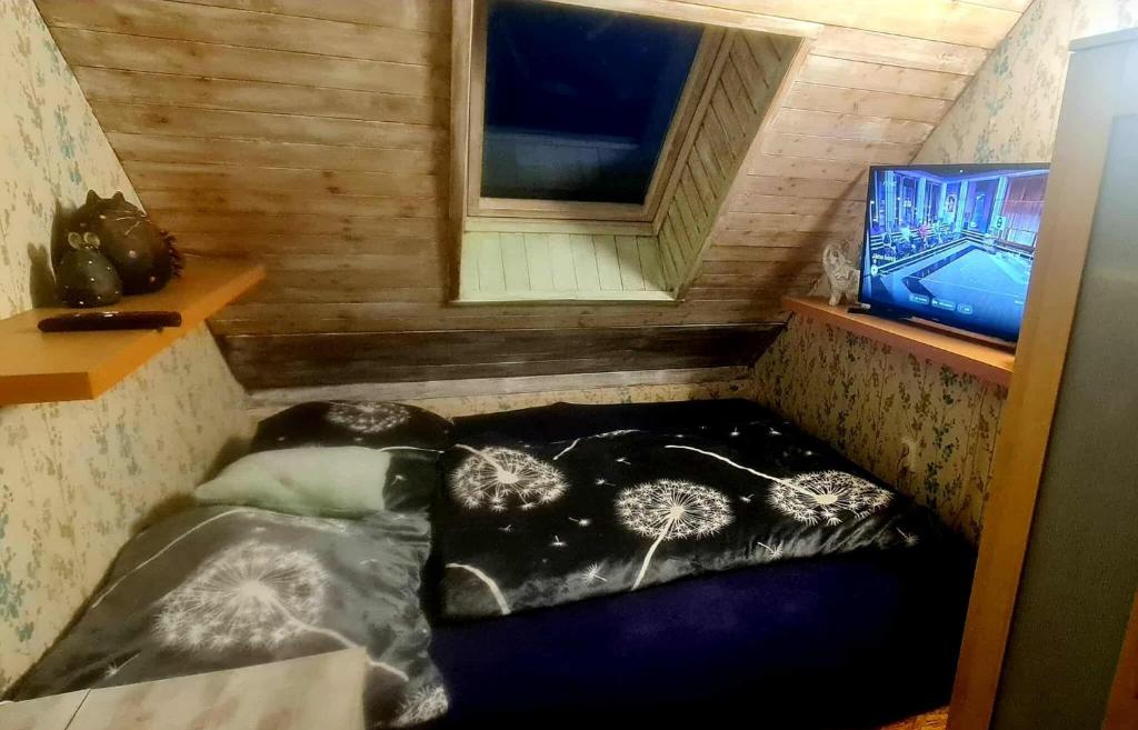 TV a/nebo společenská místnost v ubytování Apartmán MIKA