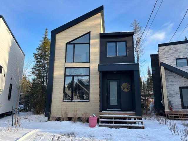 a house with a black front door in the snow at Chalet Athena in Pont-Rouge