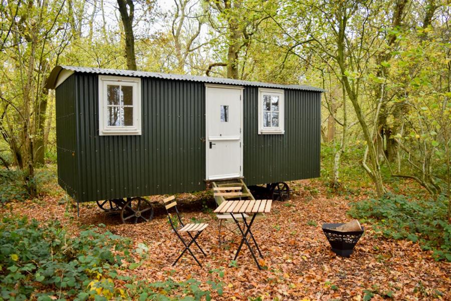 una casita verde y blanca en el bosque en Shepherd Hut in the woods, 