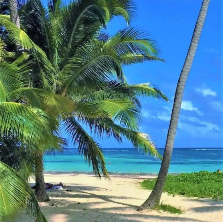 Naturlandskabet i nærheden af lejligheden