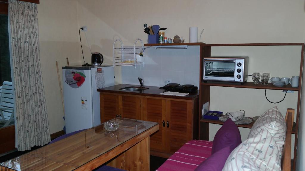 una pequeña cocina con fregadero y microondas en Apartamento Particular Los Notros en San Martín de los Andes
