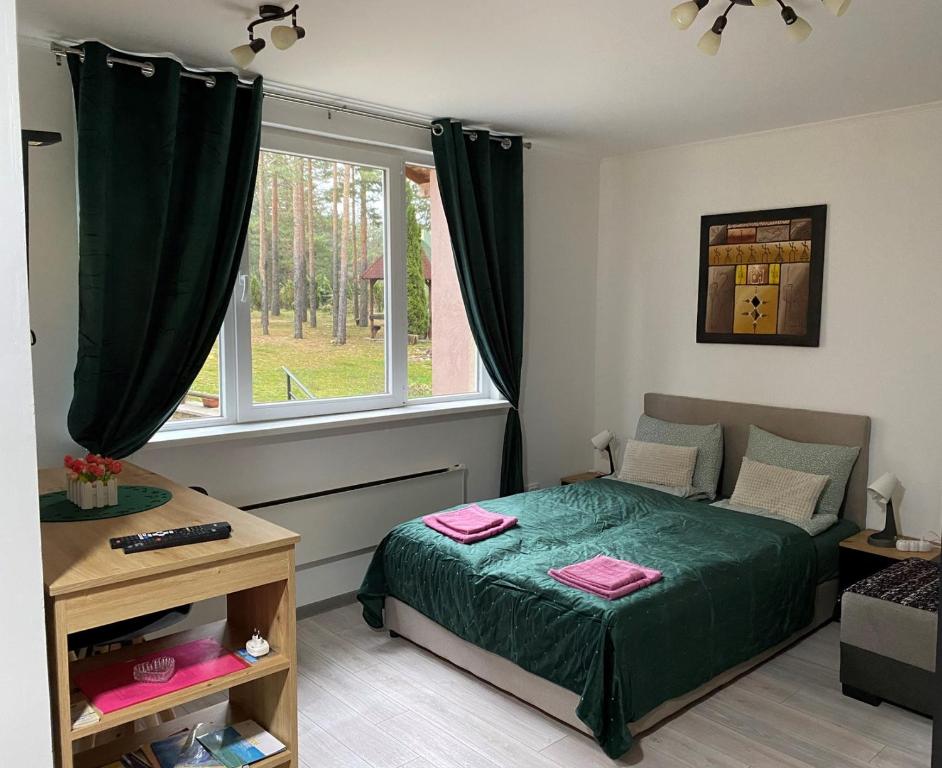 セルビアディヴツィバレにあるApartmani Krčmarica 10のベッドルーム(緑のベッド1台、窓付)