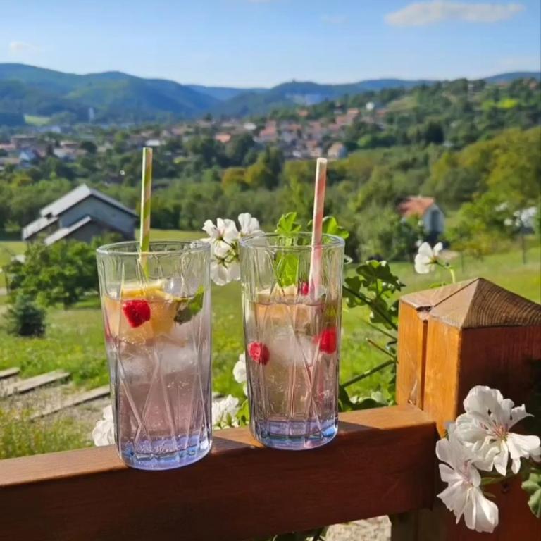 Brvnara Vrdnik - Hizvo
