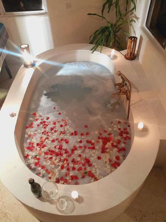 une baignoire remplie de balles rouges et blanches dans l'eau dans l'établissement Gasmin villa, à Ukunda