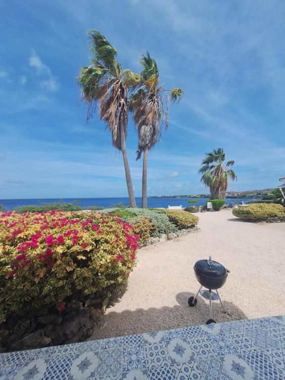 Φυσικό τοπίο κοντά σε αυτό το διαμέρισμα