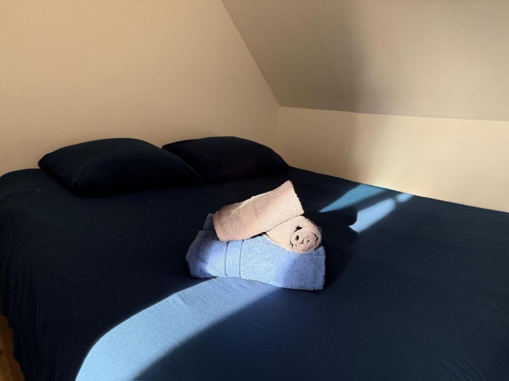 Ένα ή περισσότερα κρεβάτια σε δωμάτιο στο COZY Votre cocon douillet à Epernon